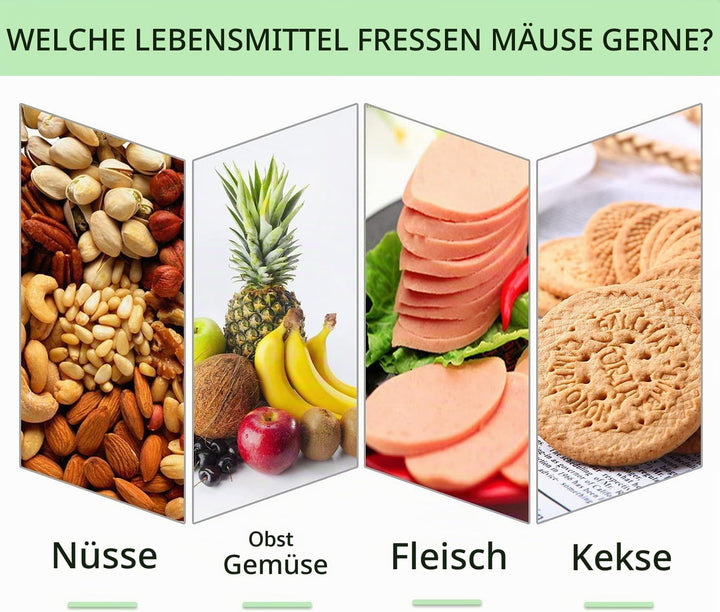 FORMIZON Lebendfalle Mausefalle, 2 Stück Rattenfalle, Premium Rattenfalle, Wiederverwendbare, Tierfa