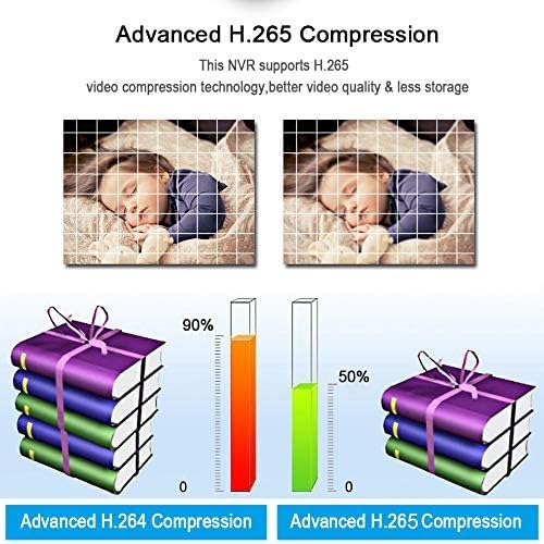 Seculink 16-Channel 4K/8MP Cloud NVR Netzwerk-Videorekorder 3840x2160P H.265 Compression P2P-Fernbed