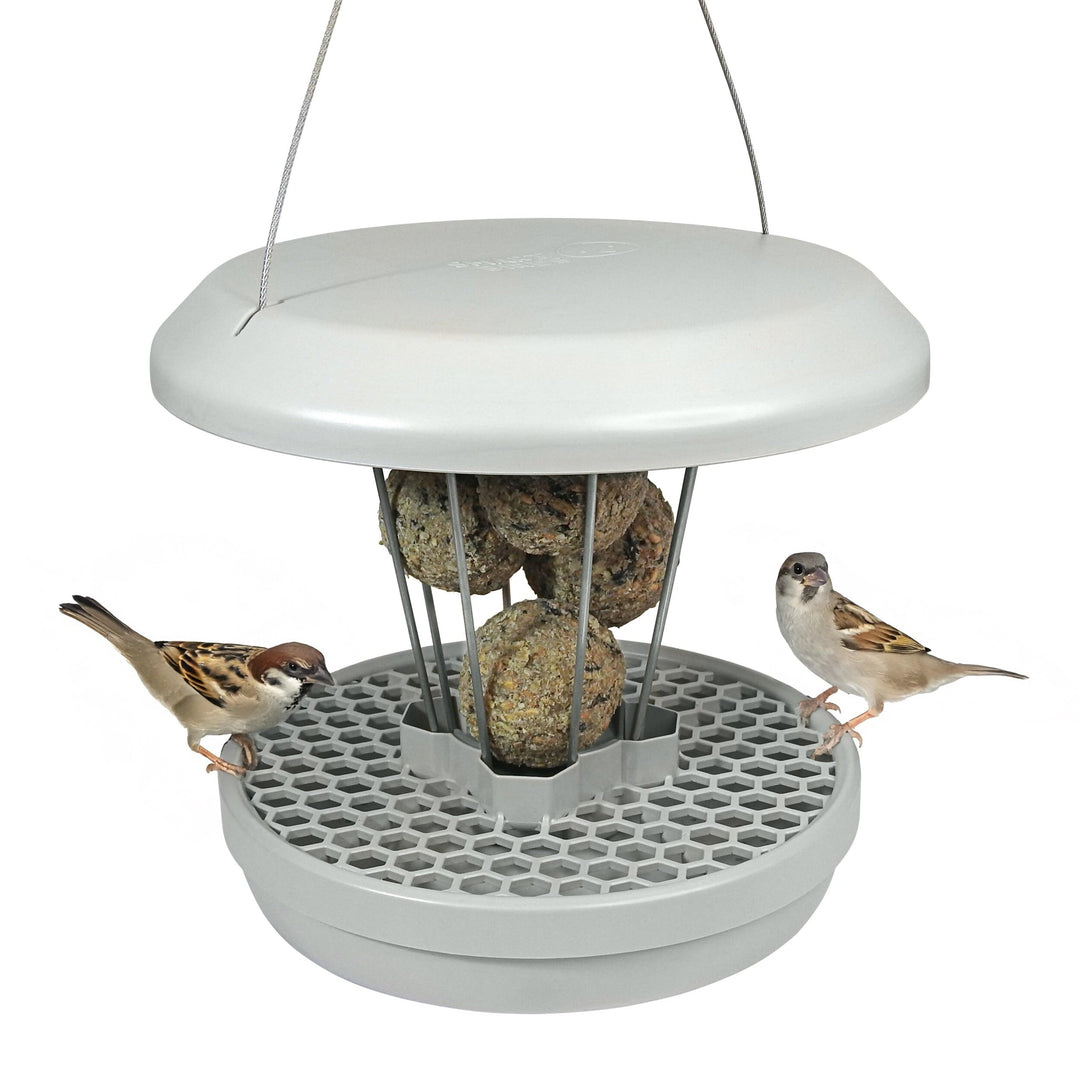 SWISSINNO Vogelfutterhaus zum Aufhängen – Lucerne SMART Birds - Meisenknödelhalter mit Auffangschale