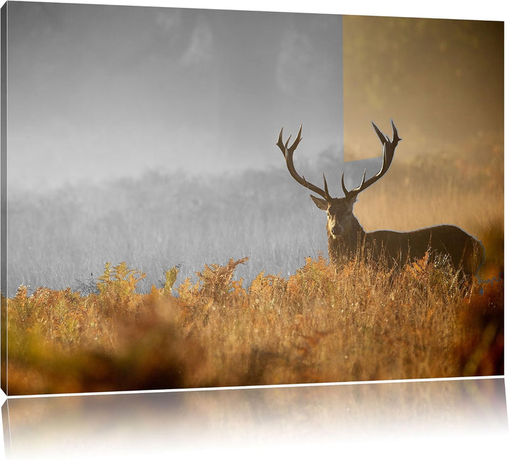 Pixxprint Rotwild Hirsch im Nebel als Leinwandbild/Grösse: 100x70 / Wandbild/Kunstdruck/fertig bespa
