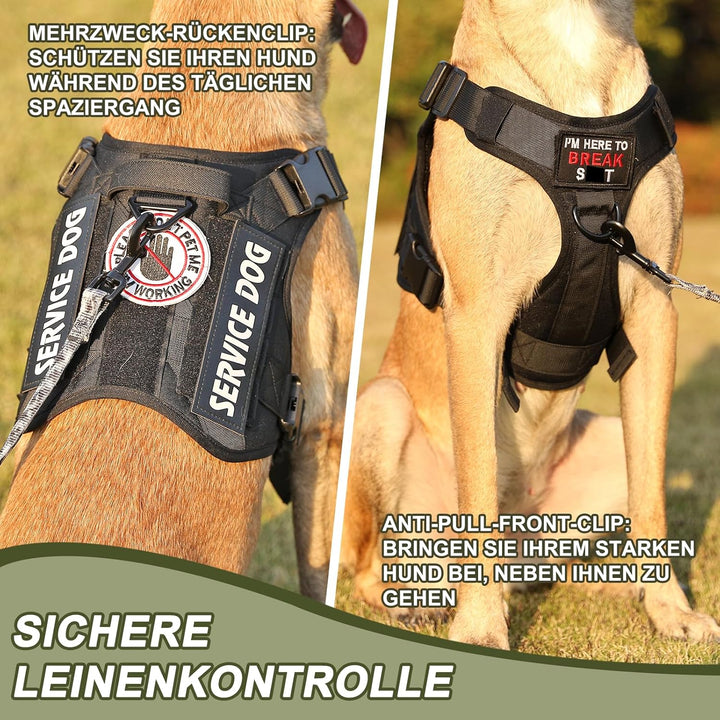 Demigreat Taktisches Anti-Zug-Hundegeschirr Klein Mittel Gross Hund M Stern Schwarz, M Stern Schwarz