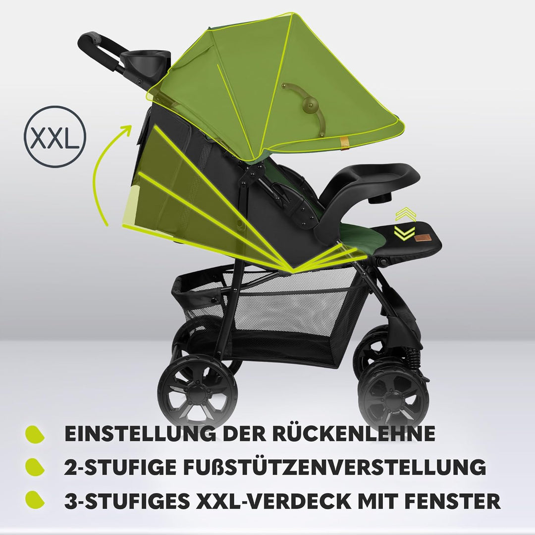 LIONELO Emma Plus Kinderwagen bis zu 15 kg, Kindersportwagen, leicht modern klein Buggy mit Liegepos