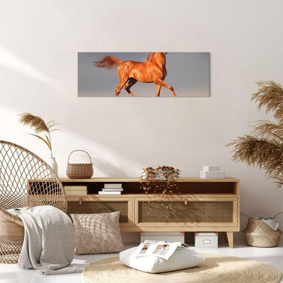 ARTTOR Bilder auf Leinwand Tiere Pferd Galopp Geschwindigkeit Leinwandbild 90x30cm Wandbilder Dekora