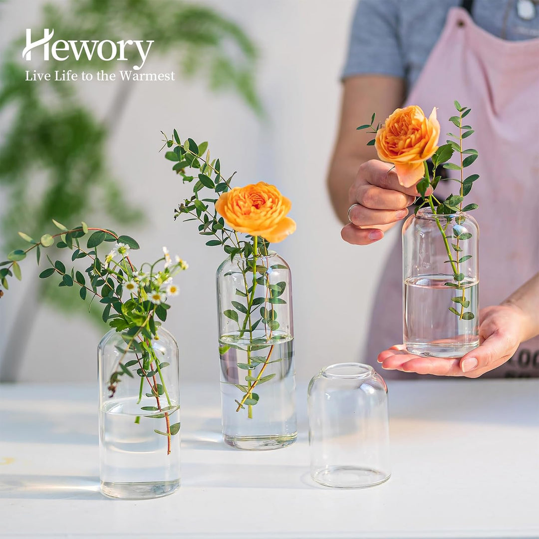 Hewory Kleine Vasen für Tischdeko: 6er Set Klar Vasen Deko Glaszylinder Vase Glas, Klein Glasvase Ru