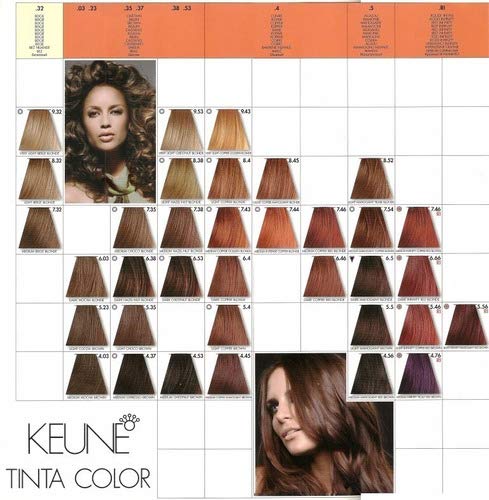 Keune Tinta Color + Silk Protein Hair Color 6.19 Dark Matte Blonde by Keune