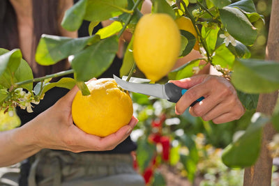 Gardena Erntemesser VeggieCut: Messer aus Edelstahl zum Ernten, Putzen und Schälen von Gemüse, Rutsc