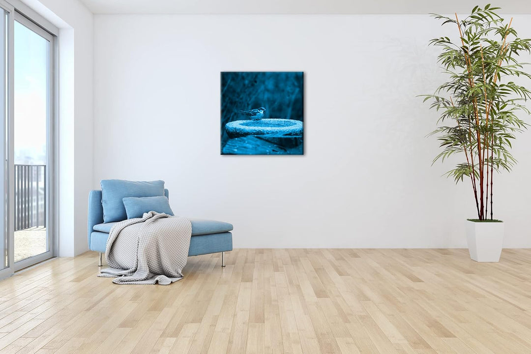 deyoli Spatz an Einer Wassertränke Format: 70x70 Effekt: Zeichnung als Leinwandbild, Motiv auf Echth