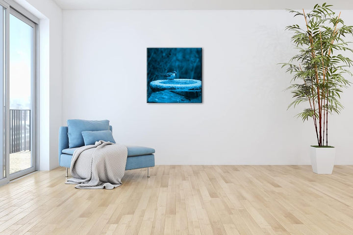 deyoli Spatz an Einer Wassertränke Format: 70x70 Effekt: Zeichnung als Leinwandbild, Motiv auf Echth