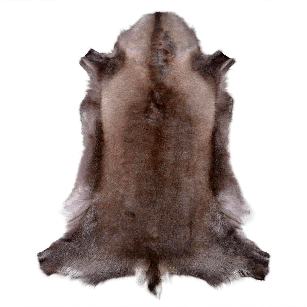 Rentierfell original aus Skandinavien, Premium Qualität, dunkel, XL 140-145 cm XL (140-145 cm), XL (