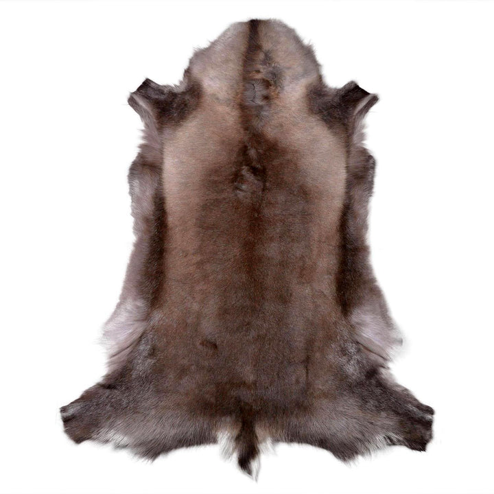 Rentierfell original aus Skandinavien, Premium Qualität, dunkel, XL 140-145 cm XL (140-145 cm), XL (