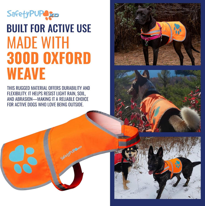 SafetyPUP XD Hund Warnweste, Grössen passen Hunde 14 lbs bis 130 lbs Blaze Orange Gross, Groß