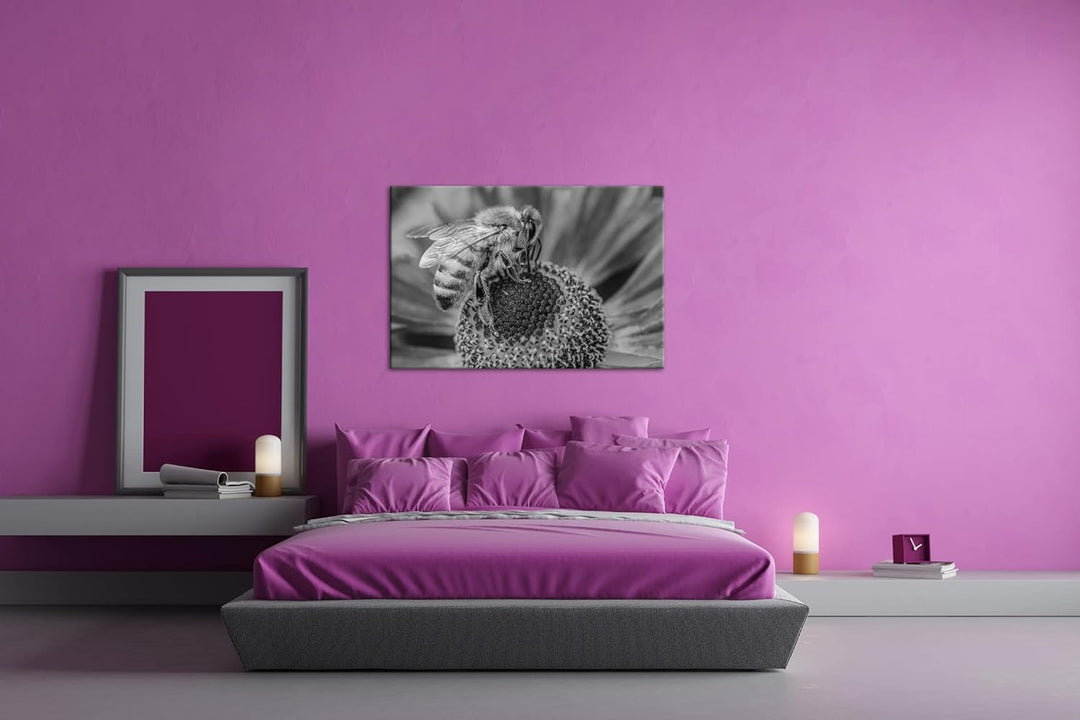 deyoli Biene beim Pollen sammeln Effekt: Schwarz&Weiss Format: 80x60 als Leinwandbild, Motiv fertig