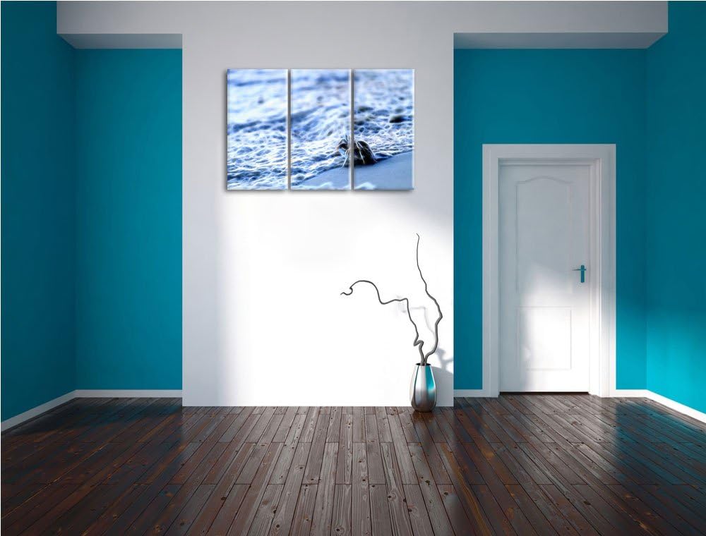 kleine Krabbe am Strand NewArt 3-Teiler Leinwandbild 120x80 Bild auf Leinwand, XXL riesige Bilder fe