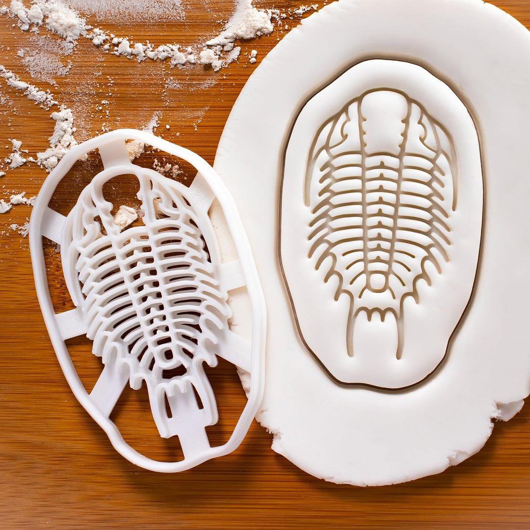 2er Set Ausstechformen (Formen: Ammonit & Trilobiten), 2 Teile, Bakerlogy