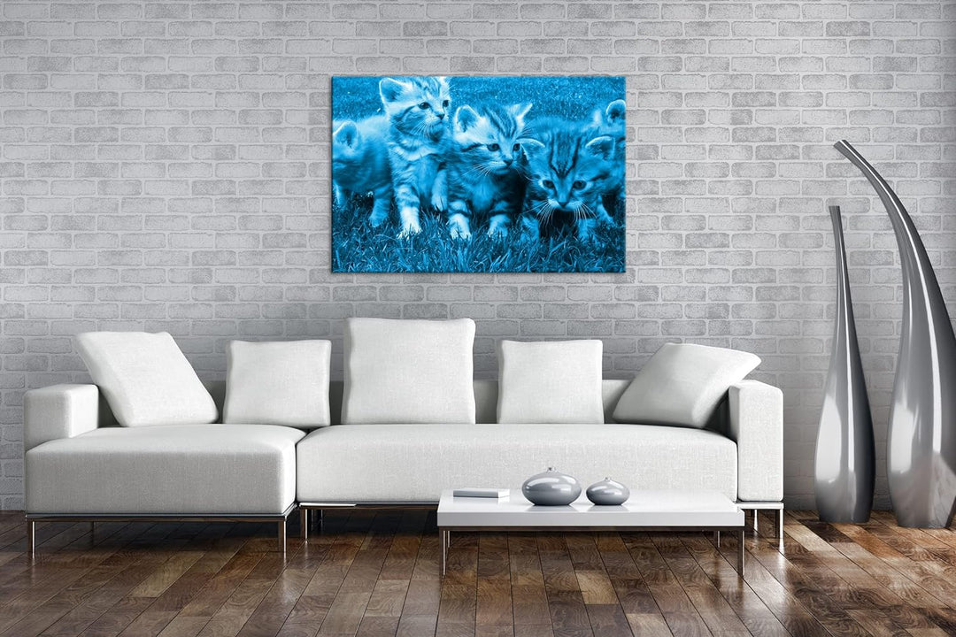 niedliche Katzenbabys auf der Wiese Format 80x60 Effekt: Monocrome Blau als Leinwandbild, Motiv fert