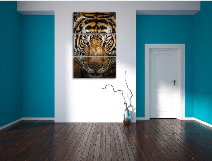 Pixxprint Tiger mit hellbraunen Augen als Leinwandbild | Grösse: 3 Teilig (120x80) | Wandbild| Kunst