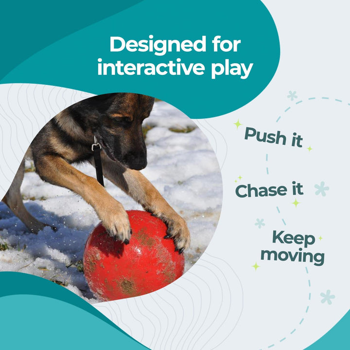 Jolly Pets JOLL070F Hundespielzeug Ball Push-n-Play, 25 cm, rot 10 Inches/Large Red, 10 Inches/Large