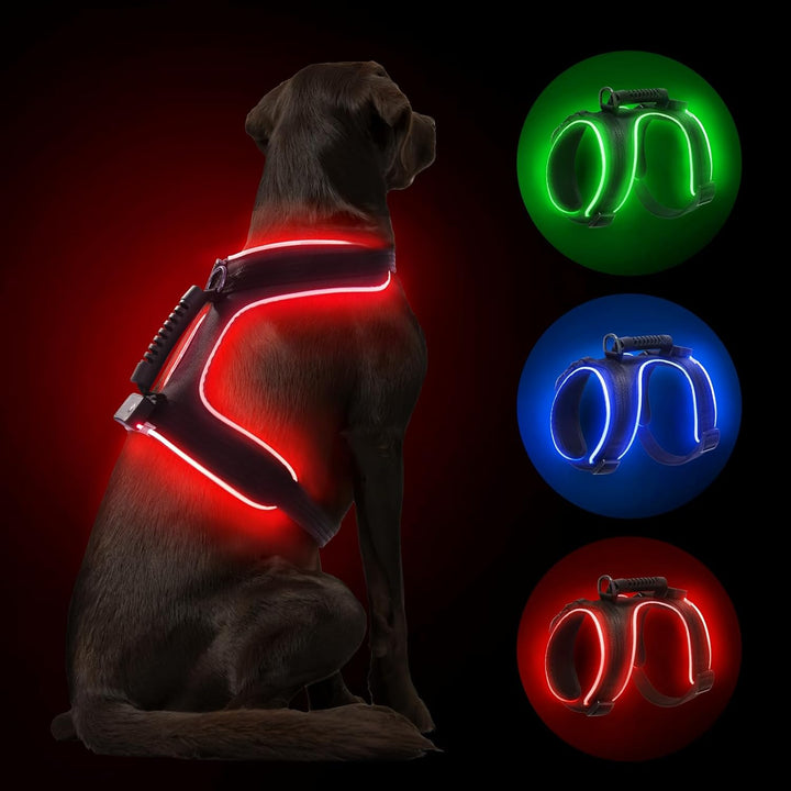 MASBRILL LED Hundegeschirr Leuchtend, Leuchtgeschirr für Hunde Aufladbar Verstellbar LED Leucht Brus