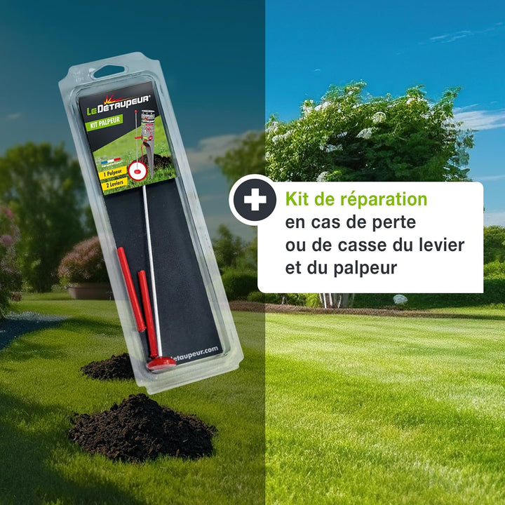 DETAUPEUR KIT SAV 2 TIGES + 1 PALPEUR KITSAV