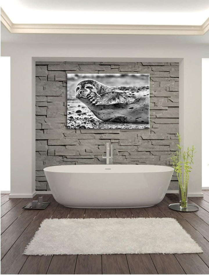 Pixxprint süsse Robbe beim Putzen / 100x70cm Leinwandbild bespannt auf Holzrahmen/Wandbild Kunstdruc