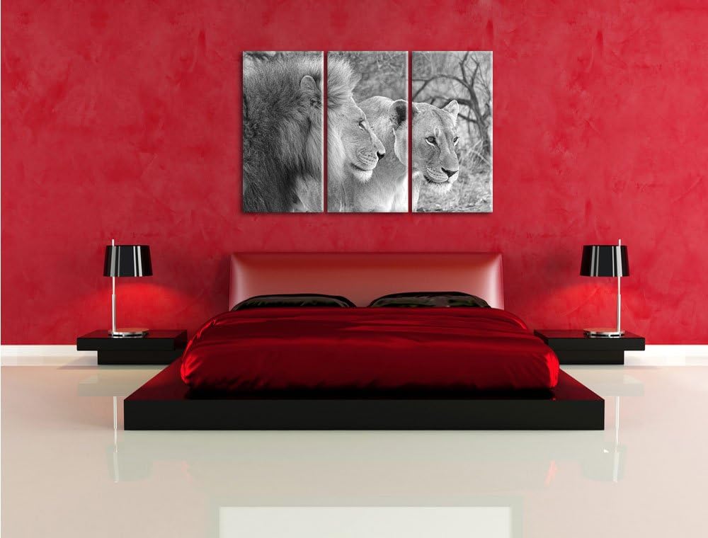 Pixxprint stolzes Löwenpaar Kunst B&W als Leinwandbild | Grösse: 3 Teilig (120x80) | Wandbild| Kunst