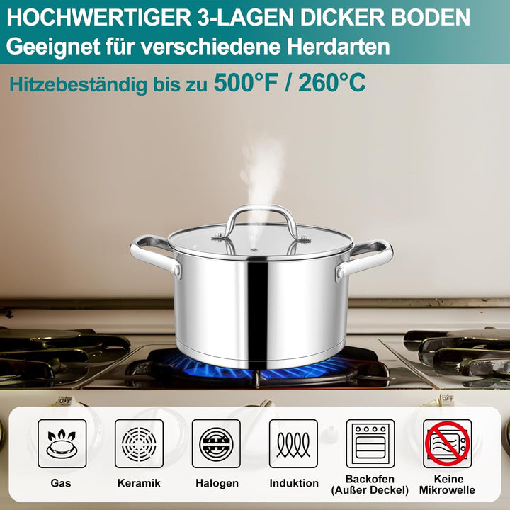 Homikit Kochtopf 20cm Gross, Edeastahl Topf Nudeltopf Induktion mit Glasdeckel, 3,8L Suppentopf Flei