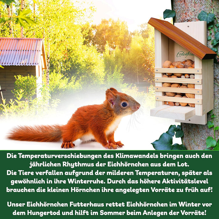 ERDENFREUND® Eichhörnchen Futterhaus ohne scharfes Glas & Genickbruch-Klappe 100% sicher wetterfest