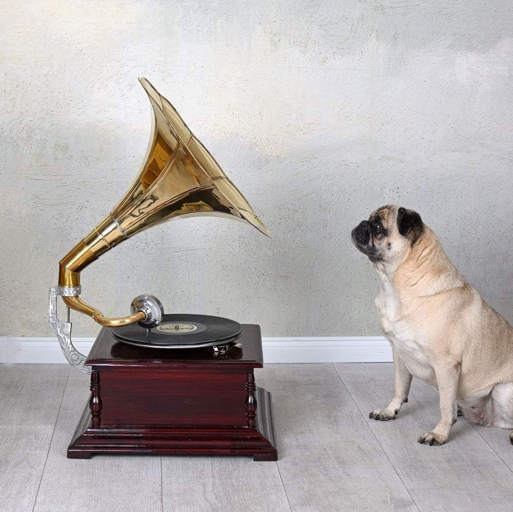 Trichter Grammophon „His Masters Voice“ – Vintage Musikgerät im Stil der 20er aus Holz & Messing, vo