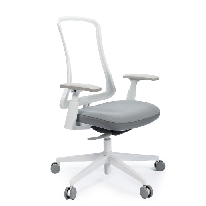 ProtoArc Flexer Ergonomischer Bürostuhl – Schreibtischstuhl mit Sitztiefenverstellung, konturiertem