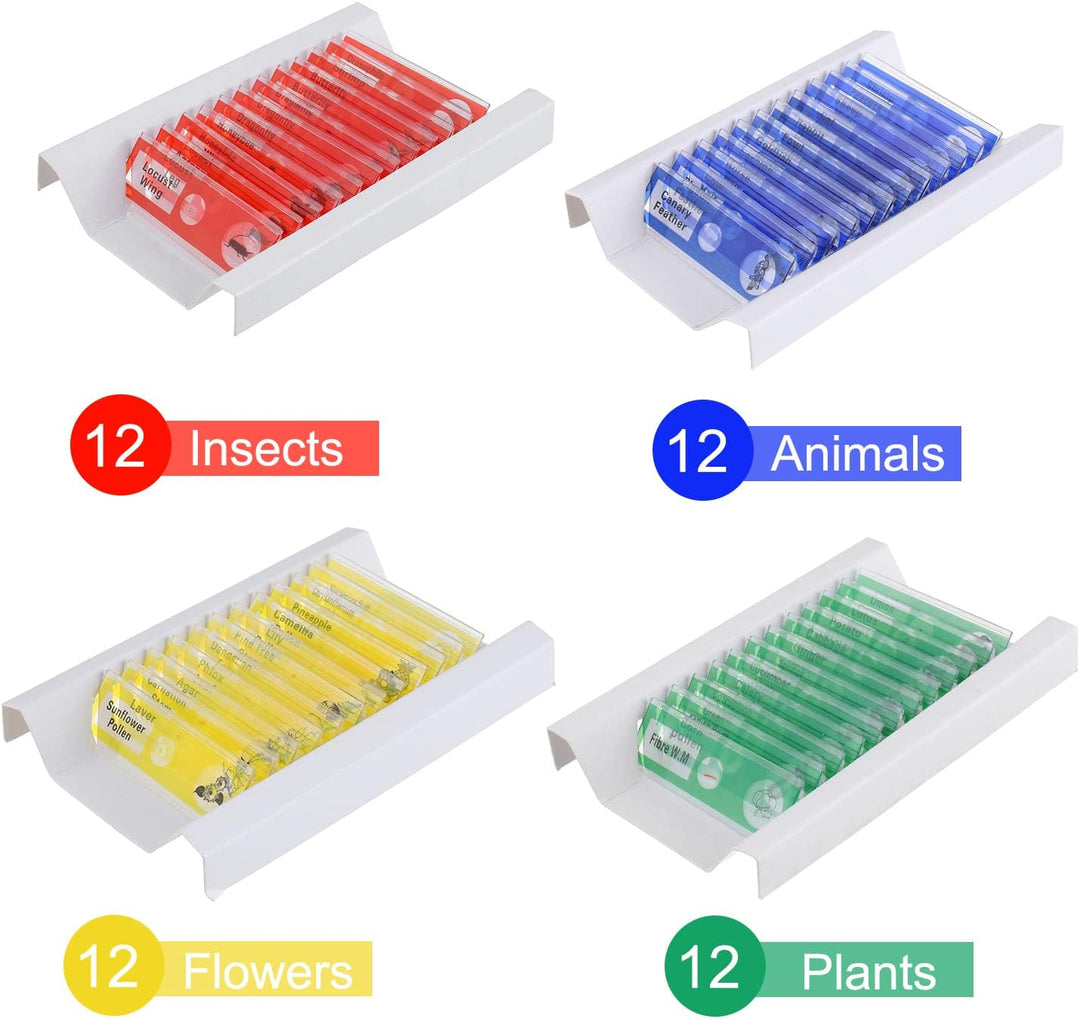 BOJACK 48 Pcs Kunststoff mikroskope Objektträger Objektträger für Kinder mit Insekten, Tieren, Blume