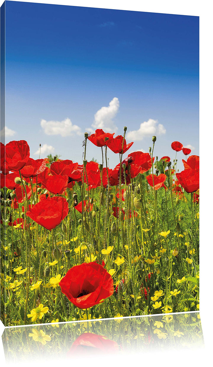 Pixxprint Mohnwiese, Format: 100x70 auf Leinwand, XXL riesige Bilder fertig gerahmt mit Keilrahmen,