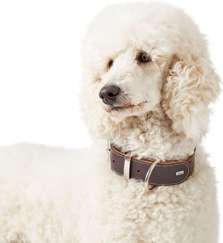 HUNTER AALBORG SPECIAL Hundehalsband, Leder, strapazierfähig, komfortabel, 65 (L), dunkelbraun dunke
