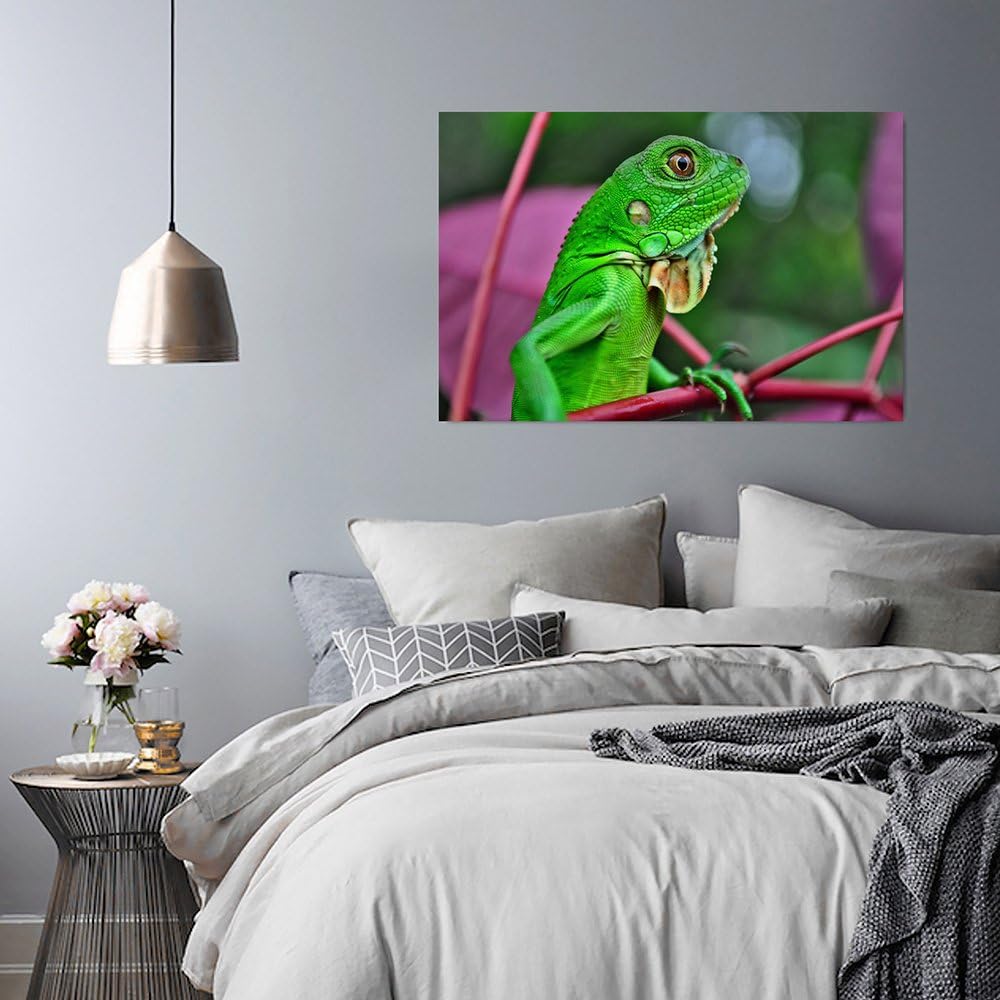 Feeby. Wandbild - 1 Teilig - 50x70 cm, Leinwand Bild Leinwandbilder Bilder Wandbilder Kunstdruck, EI