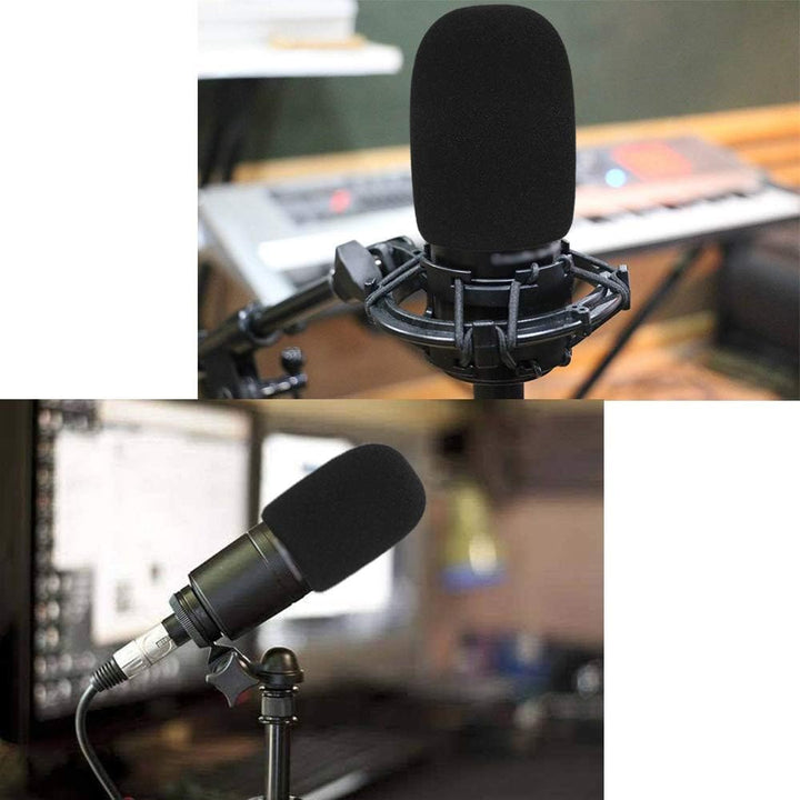 AT2020 Mikrofonständer mit Popschutz - Mikrofonarm mit Pop Filter für Audio Technica AT2020 AT2020US
