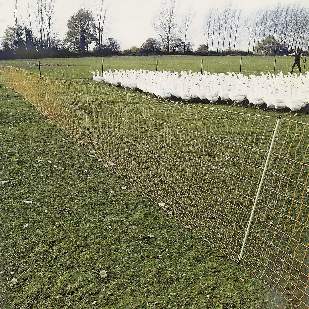 Geflügel 112/2–50 m Geflügelnetz
