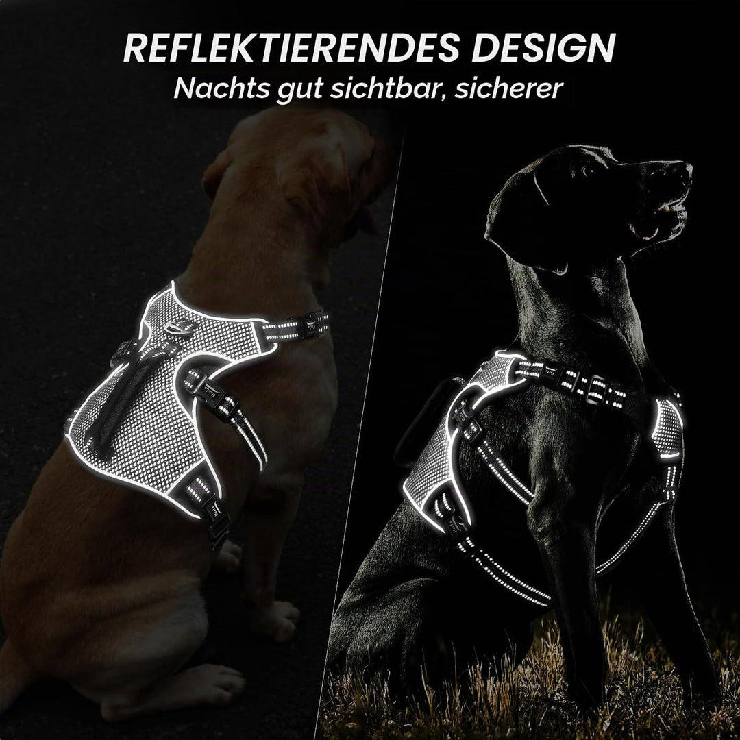 HEELE Hundegeschirr, Ausbruchsicher, Schnalle im Halsbereich, Reflektierend, Brustgeschirr mit Robus