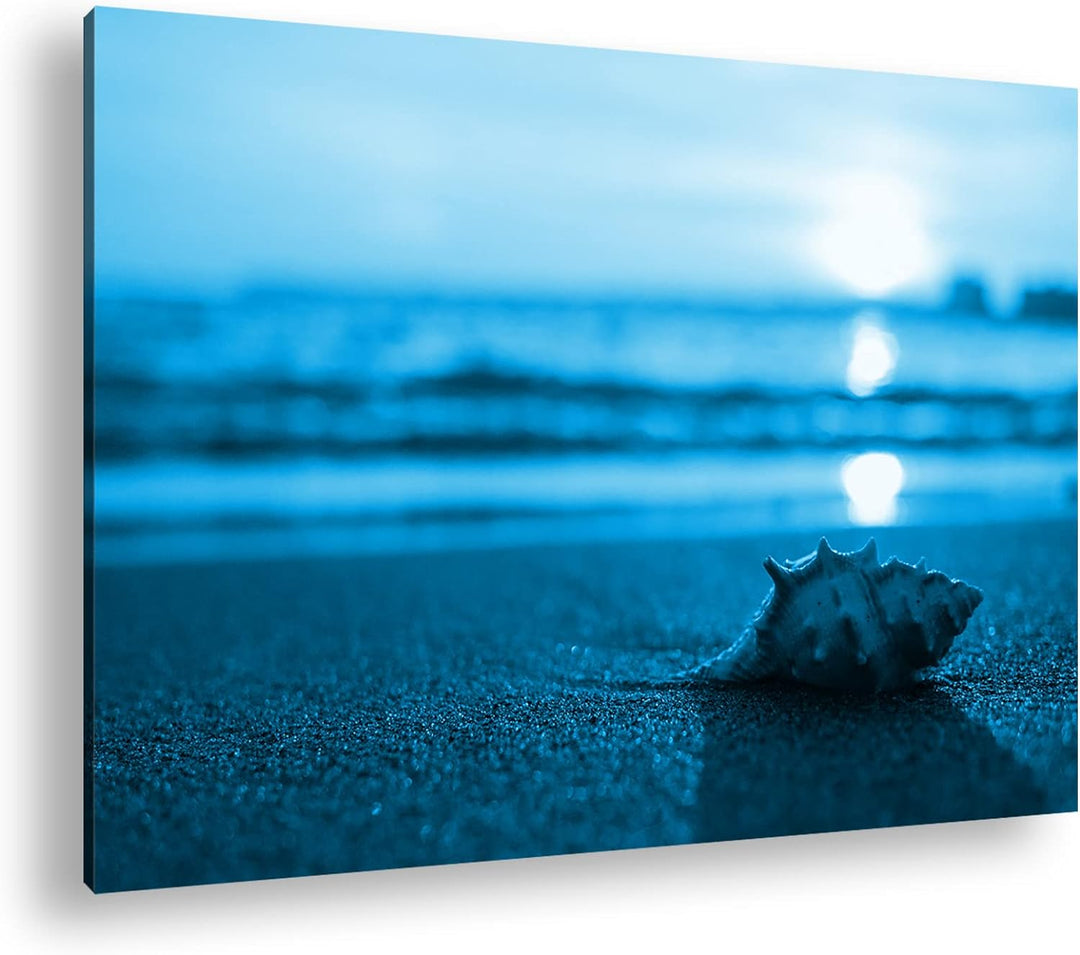 deyoli einzelne Muschel am Strand Format 80x60 Effekt: Monocrome Blau als Leinwandbild, Motiv fertig