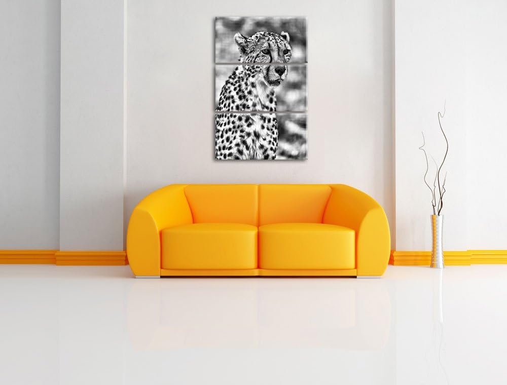 Pixxprint ausgewachsener Gepard als Leinwandbild/Grösse: 3 Teilig (120x80) cm/Wandbild/Kunstdruck/fe