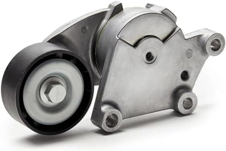 SKF VKMA33165 VKMA 33165 Keilrippenriemensatz