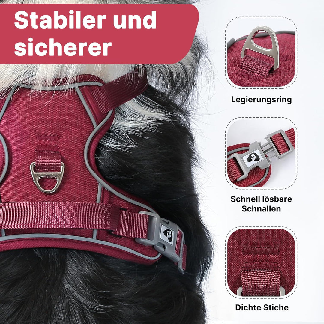 Demigreat Mittleres Hundegeschirr, Anti-Zug-Hundegeschirr mit Weich Gepolstertem Griff für das Train