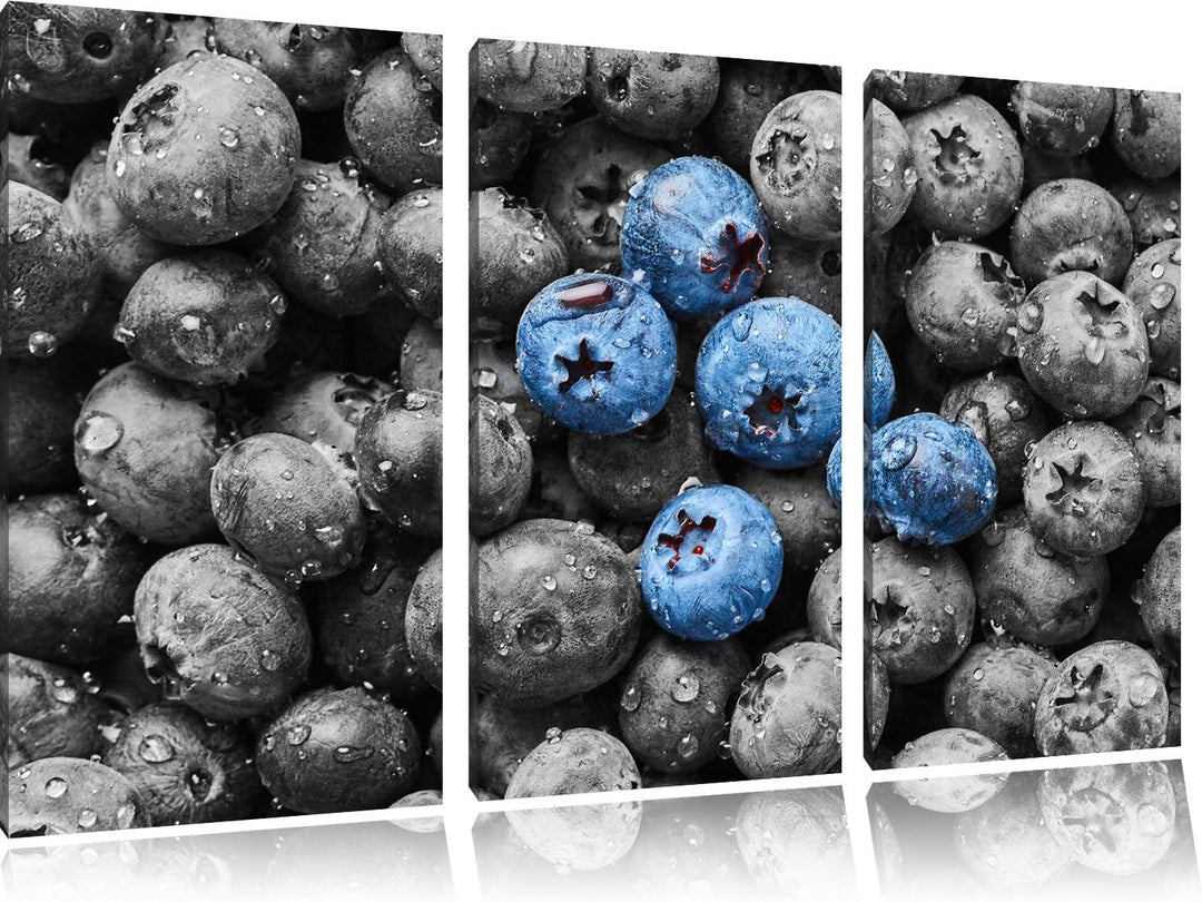 Pixxprint Blaubeeren mit Wassertropfen B&W Detail 3-Teiler Leinwandbild 120x80 Bild auf Leinwand