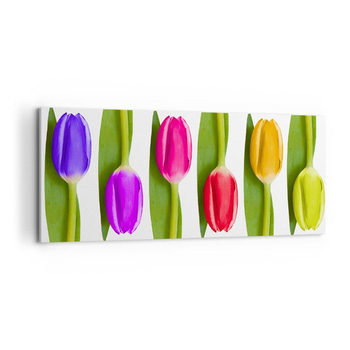 Wandbilder Dekoration Wohnzimmer Tulpe Blume Garten Komposition Panorama Bilder auf Leinwand 120x50c