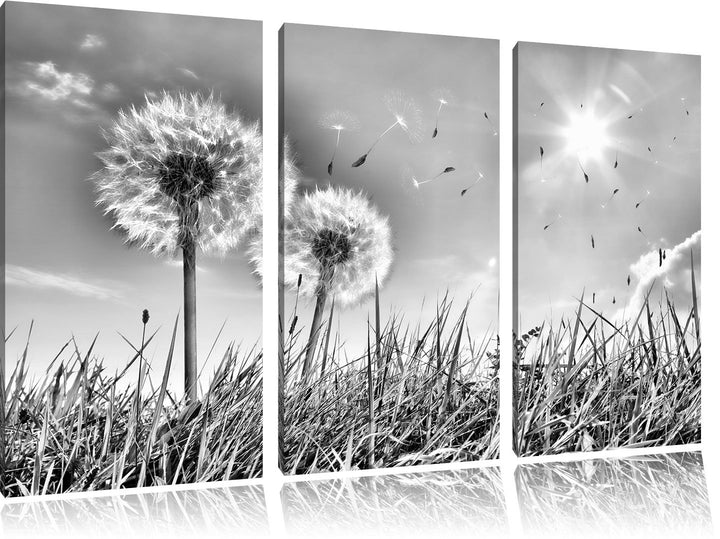 Pixxprint Pusteblumen auf Frühlingswiese als Leinwandbild/Grösse: 3 Teilig (120x80) cm/Wandbild/Kuns
