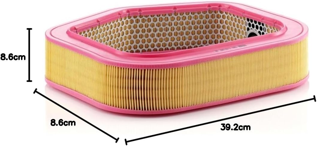 MANN-FILTER C 40 193 Luftfilter – Für PKW
