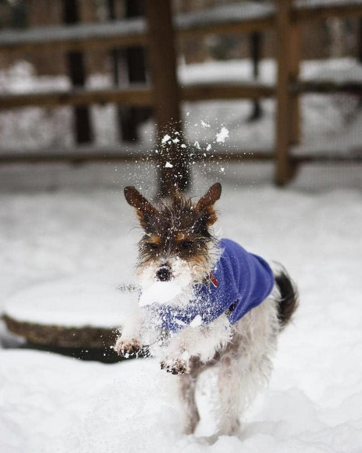 Gooby - Stretch-Fleece-Weste, Pullover, Fleece-Weste, Jacke, Pullover für Hunde, Violett, Grösse XL