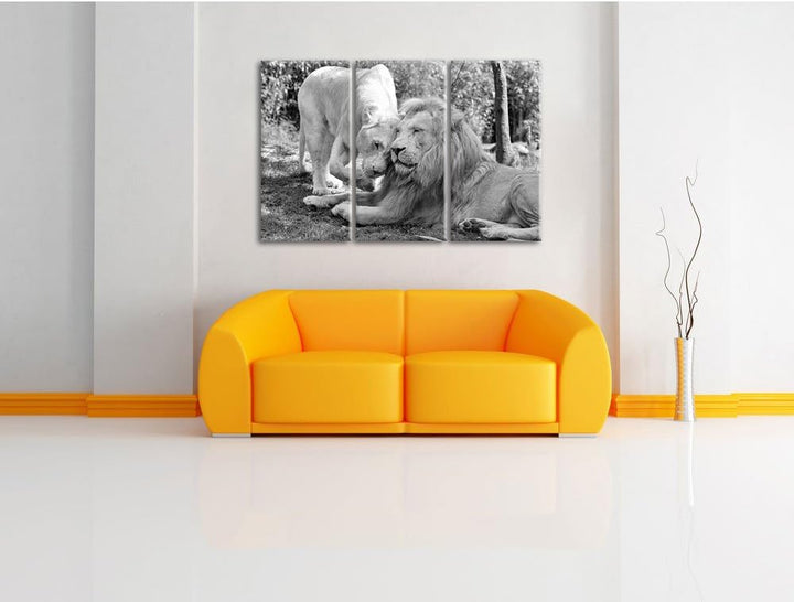 Pixxprint verliebtes Löwenpaar Kunst B&amp;W als Leinwandbild | Grösse: 3 Teilig (120x80) | Wandbild| Ku