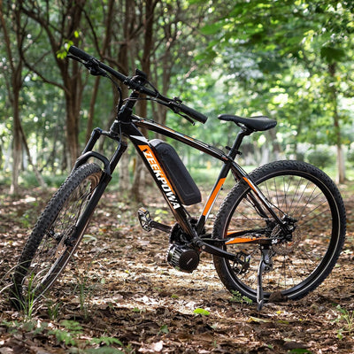 Bafang Mittelmotor 250w 36V mit Akku BBS01B G340 ebike Umbausatz Mit Bafang Display, Batterie (Optio