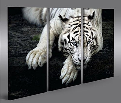 islandburner Bild Bilder auf Leinwand Bengalischer Tiger V2 3p XXL Poster Leinwandbild Wandbild Deko