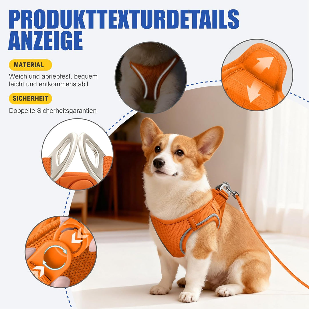 Hundegeschirr Mit Leine, Verstellbares Welpengeschirr Katzengeschirr, Reflektierendes Hundegeschirr