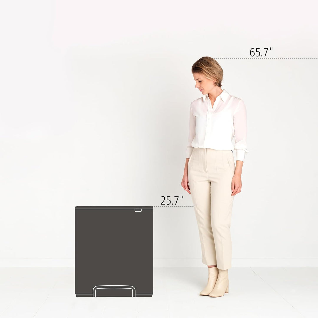 Brabantia Bo Treteimer, 60L 1 Inneneimer (60L) Platinum, 1 Inneneimer (60L) Platinum